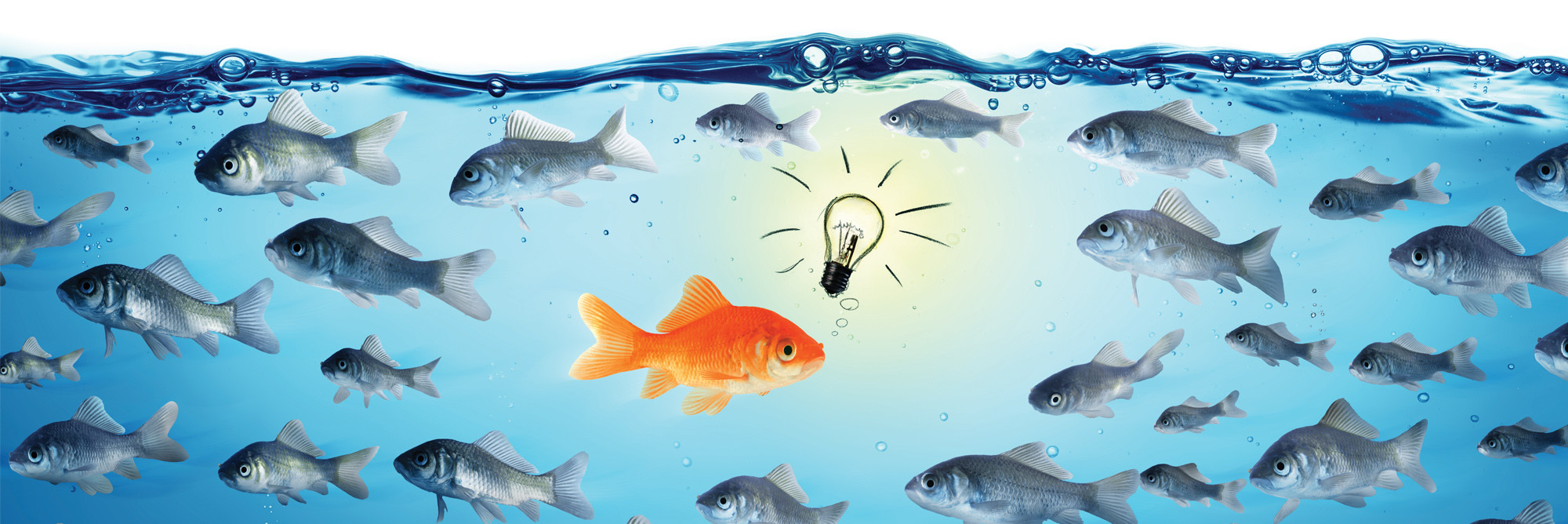 Ohne kulturellen Wandel keine digitale Transformation Ohne kulturellen Wandel keine digitale Transformation
